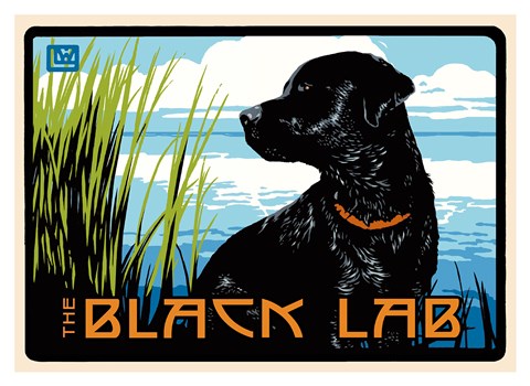 Framed Black Lab Print