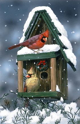 Framed Cardinals And Birdhouse In Snow Print