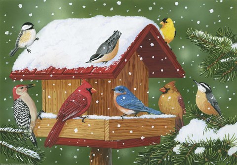 Framed Backyard Birds, Holiday Treats Print