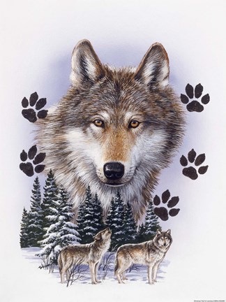 Framed Wolf Montage/ Winter Print