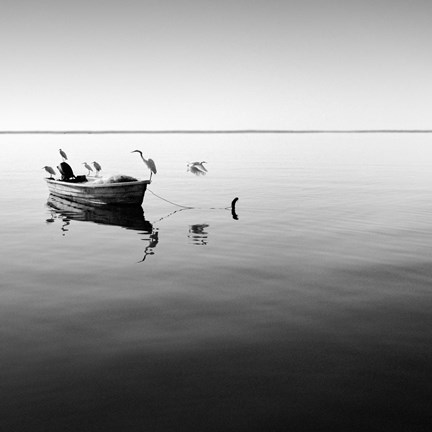 Framed Boat and Heron II Print