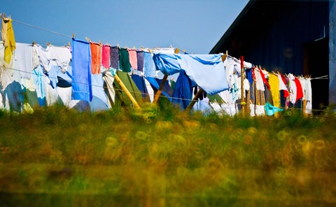 Framed Laundry hanging on the line to dry, Michigan, USA Print