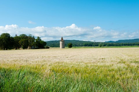 Framed Wheat field with a tower, Meyrargues, Bouches-Du-Rhone, Provence-Alpes-Cote d&#39;Azur, France Print