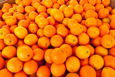 Framed Close-up of oranges, Santa Paula, Ventura County, California, USA Print