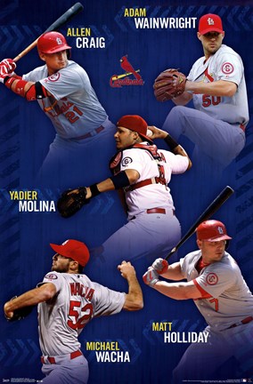 Framed St. Louis Cardinals&#174; - Team 14 Print