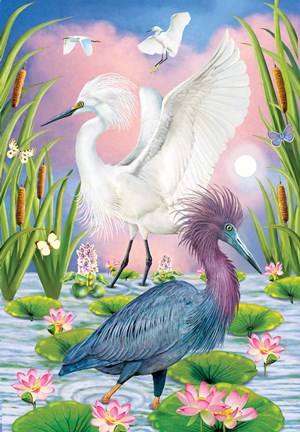 Framed LIttleblue And Snowy Herons Print