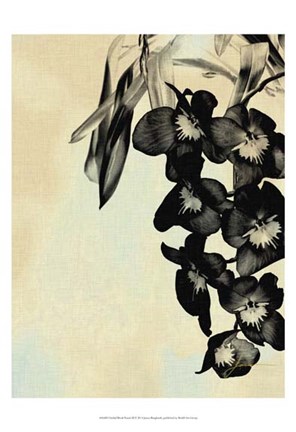 Framed Orchid Blush Panels II Print