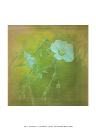 Framed White Flowers VI Print