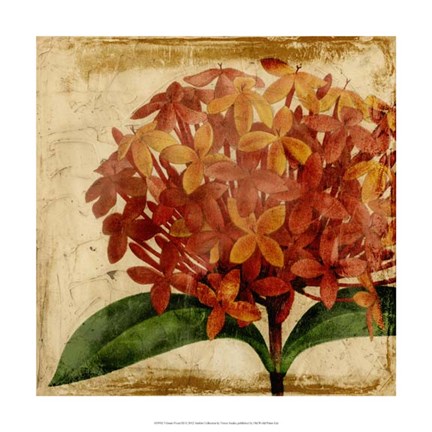 Framed Vibrant Floral III Print