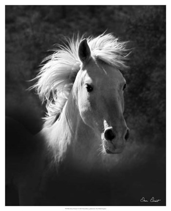 Framed Horse Portrait V Print