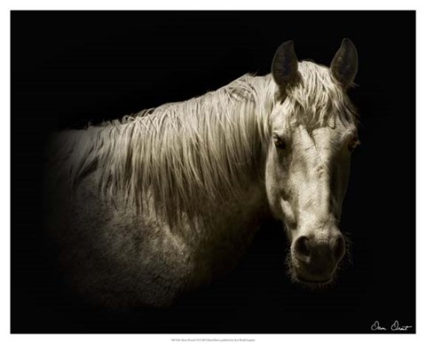 Framed Horse Portrait VI Print