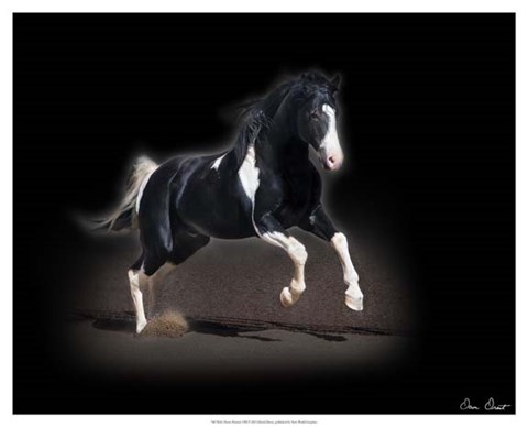 Framed Horse Portrait VIII Print