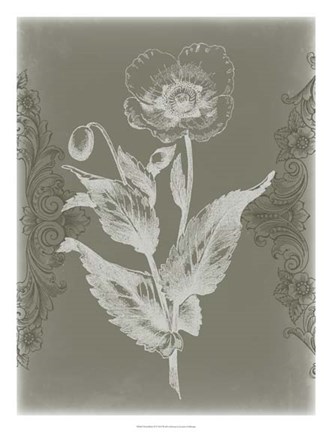 Framed Floral Relief II Print