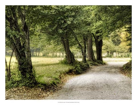 Framed Path in the Country Print