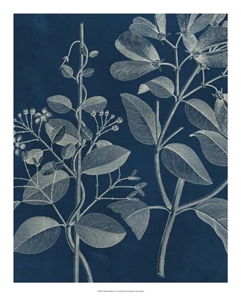 Framed Modern Botany I Print