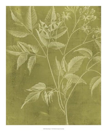 Framed Modern Botany V Print