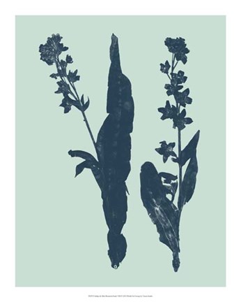 Framed Indigo &amp; Mint Botanical Study VIII Print