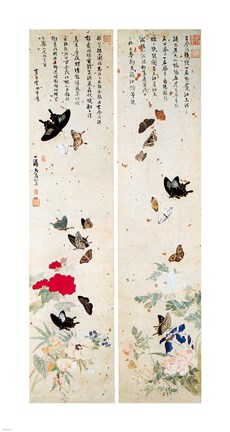 Framed Butterflies - script Print