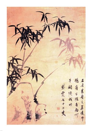 Framed Sin Wi, Bamboos Print