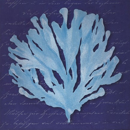 Framed Blue Coral Print