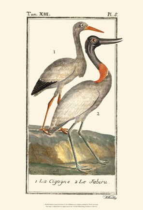 Framed Buffon Cranes &amp; Herons I Print