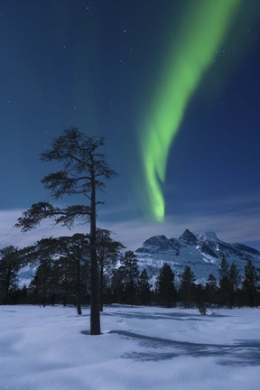 Framed Moonlight and aurora over Nova Mountain Wilderness, Norway Print