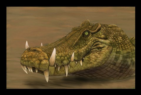 Framed Kaprosuchus saharicus head detail Print