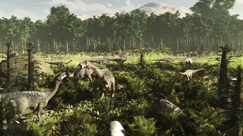 Framed Lurdusaurus and Nigersaurus dinosaurs grazing a prehistoric forest Print
