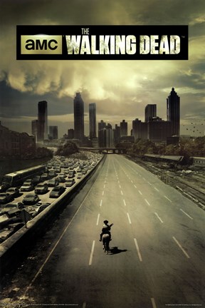 Framed Walking Dead - Season 1 Print