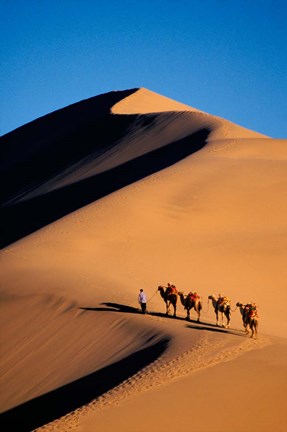 Framed Camel Caravan with Sand Dune, Silk Road, China Print