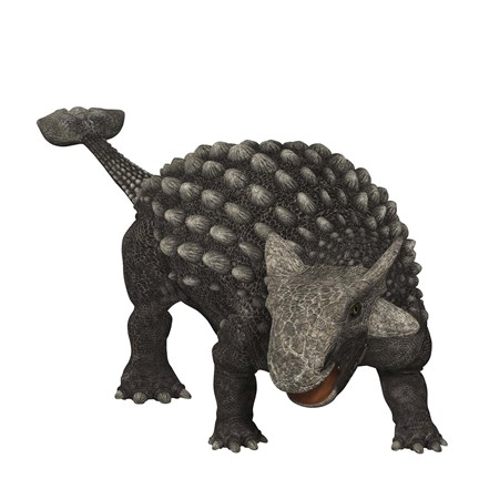 Framed Ankylosaurus was an armored dinosaur from the Creataceous Period Print