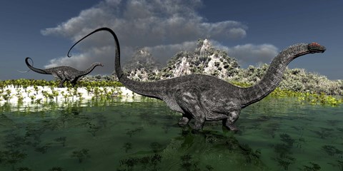 Framed Apatosaurus dinosaurs roam the wilderness of prehistoric times Print