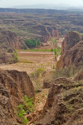 Framed Shepard, Yellow Valley cliff, Taigu, Shanxi, China Print