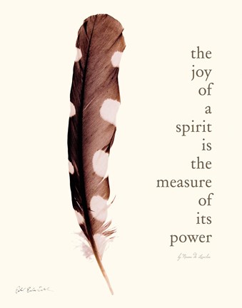 Framed Joy of Spirit Print