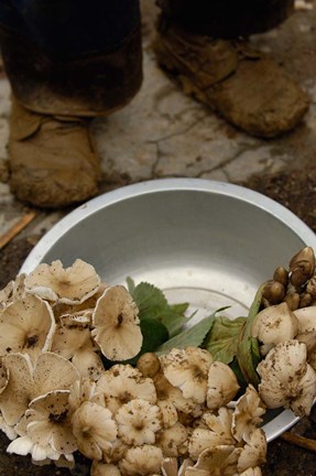 Framed Wild Mushrooms For Sale, Honghe Prefecture, Yunnan Province, China Print