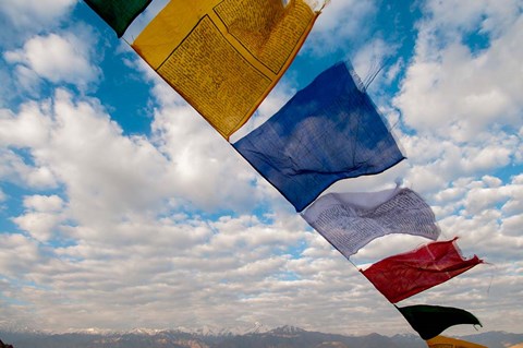 Framed Prayer flags, Leh, Ladakh, India Print