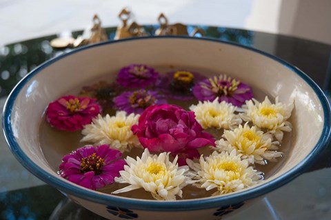 Framed Flowers in a bowl, Rawal Jojawar Hotel, Jojawar, Rajasthan, India. Print