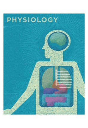 Framed Physiology Print