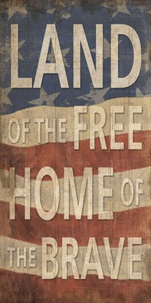 Framed Land of the Free Home of the Brave Print