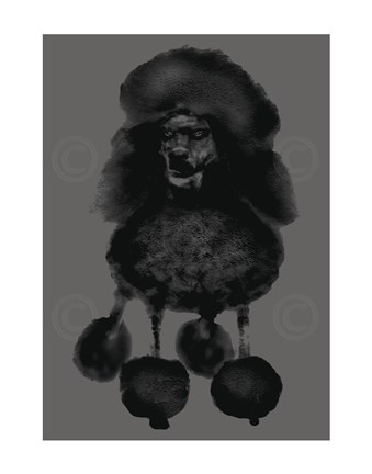 Framed Poodle Print