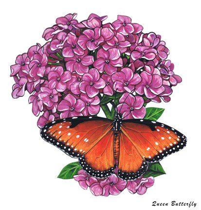 Framed Queen Butterfly II Print