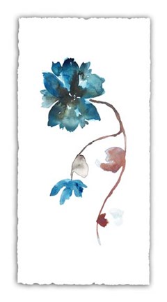 Framed Floral Watercolor I Print