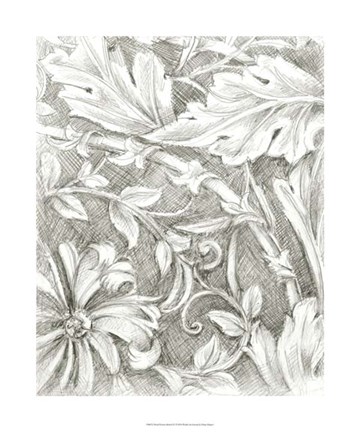 Framed Floral Pattern Sketch IV Print