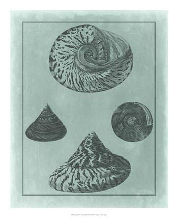 Framed Spa Shell Collection II Print