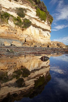 Framed Cliffs of Fossil Bluff, Wynyard, NW Tasmania, Australia Print