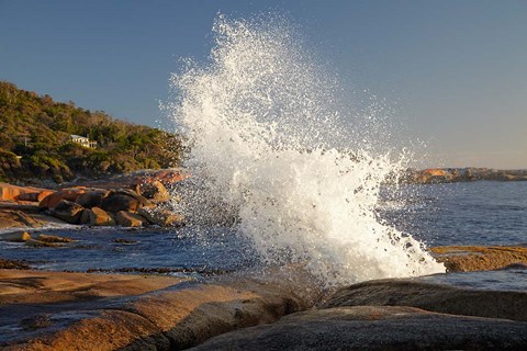 Framed Splash from Blowhole, Bicheno, Tasmania, Australia Print