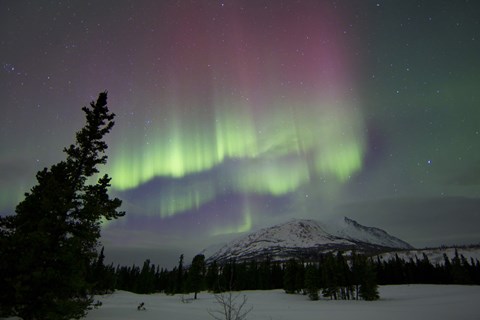 Framed Red and Green Aurora Borealis over Carcross Desert, Canada Print