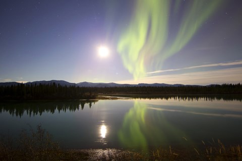 Framed Aurora Borealis with Full Moon over the Yukon River in Canada Print