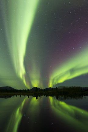 Framed Aurora borealis over Fish lake, Whitehorse, Yukon, Canada (vertical) Print