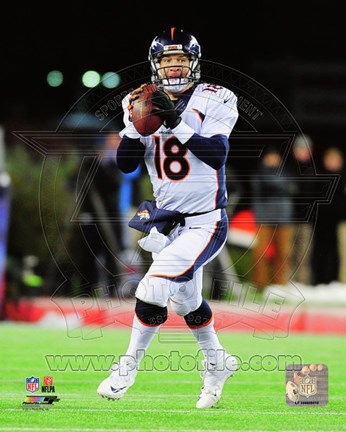 Framed Peyton Manning 2014 Action Print